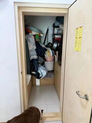 Bliss Loft (D12), Apartment #514174991